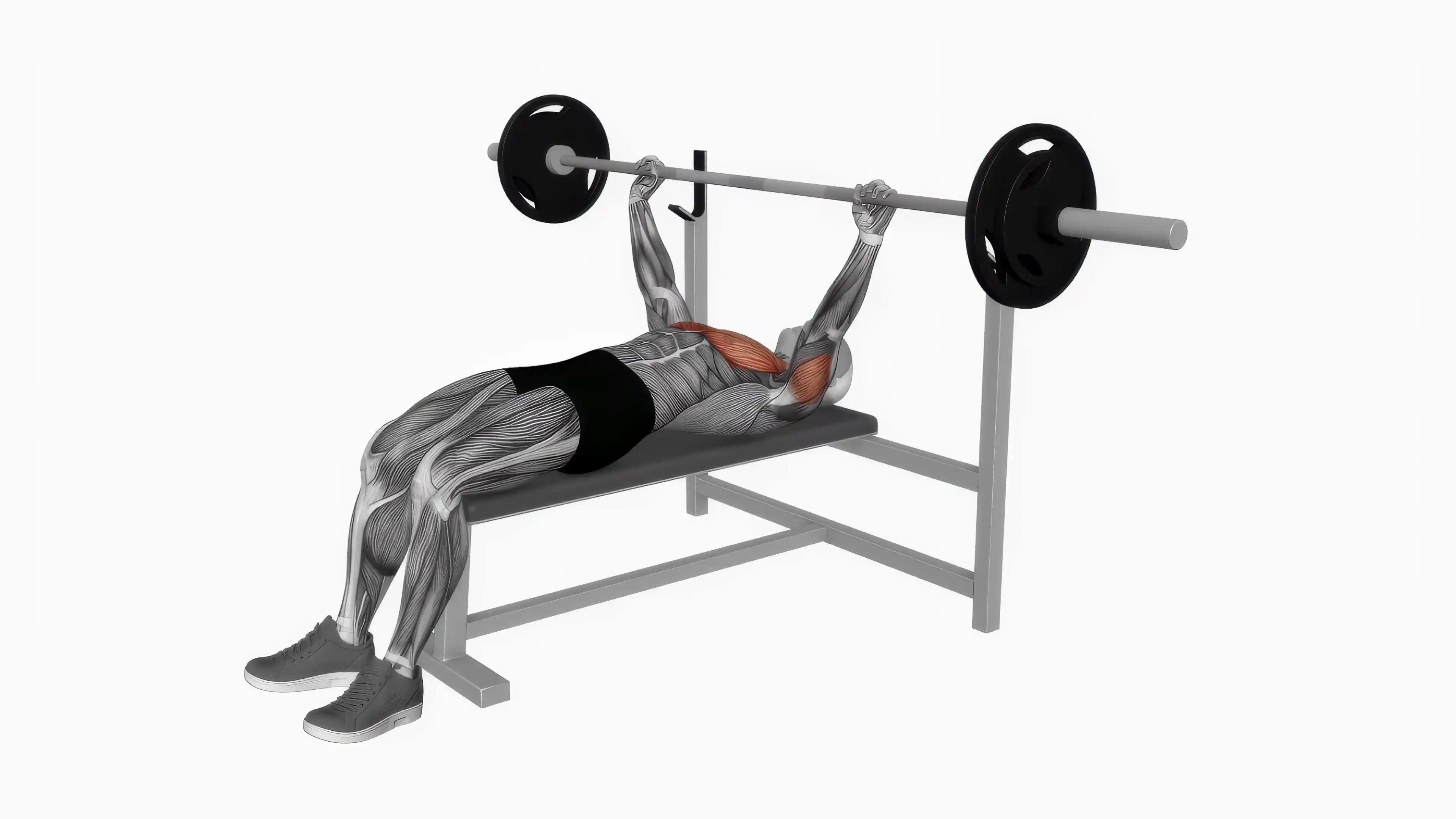 Cable Middle Fly