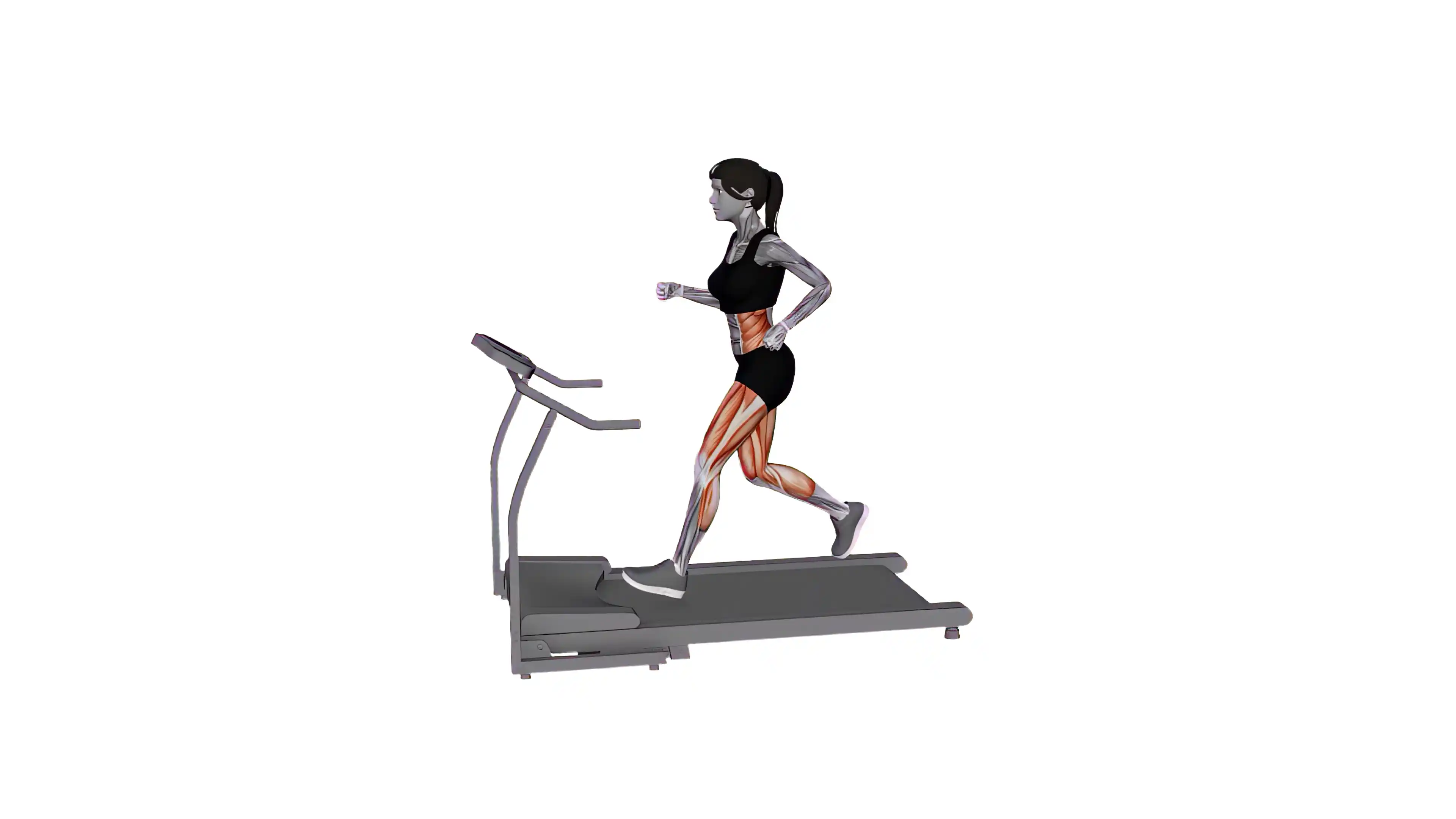Agility Ladder Advanced Single-Leg