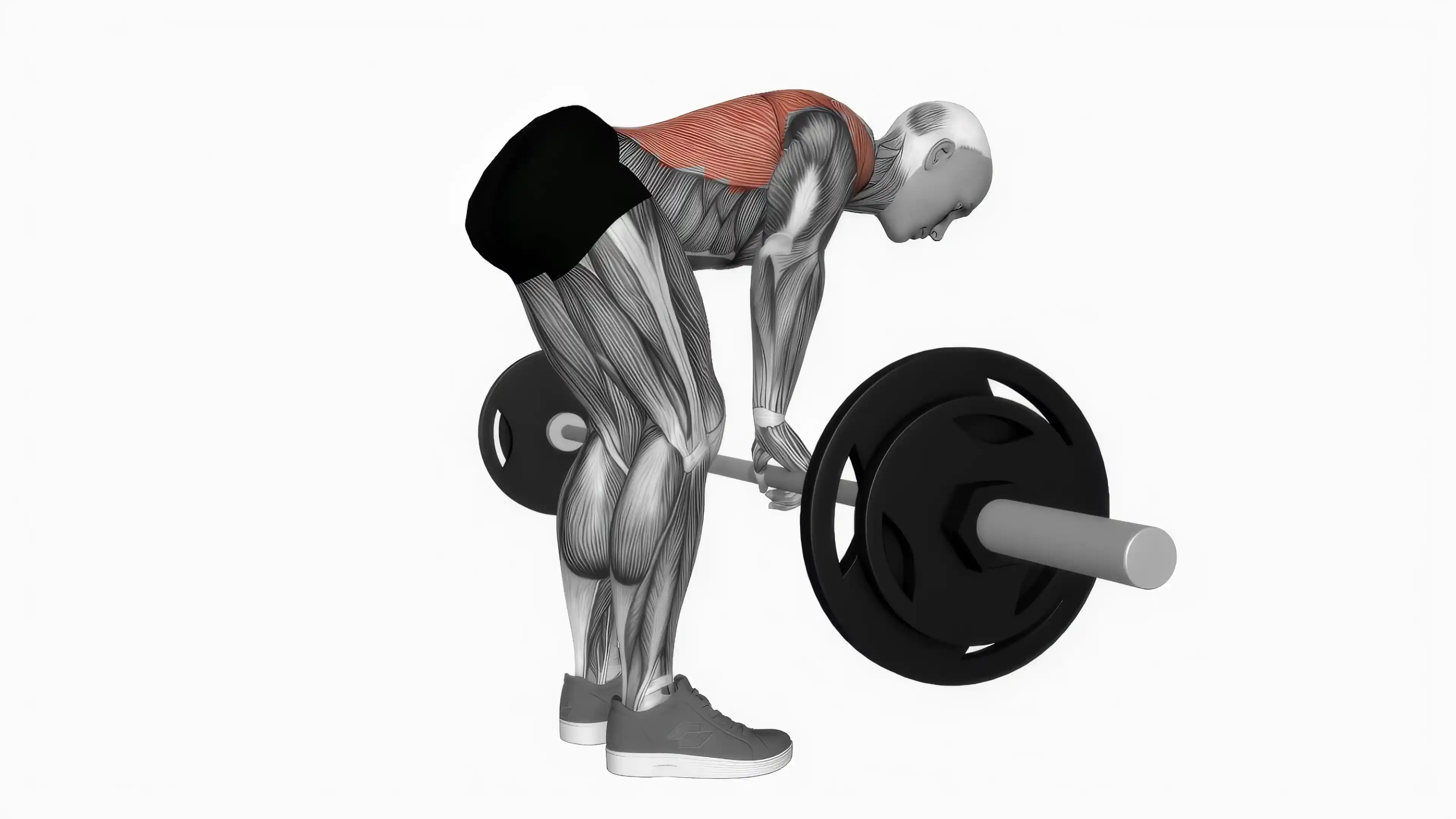 Wide Grip Pull-Up