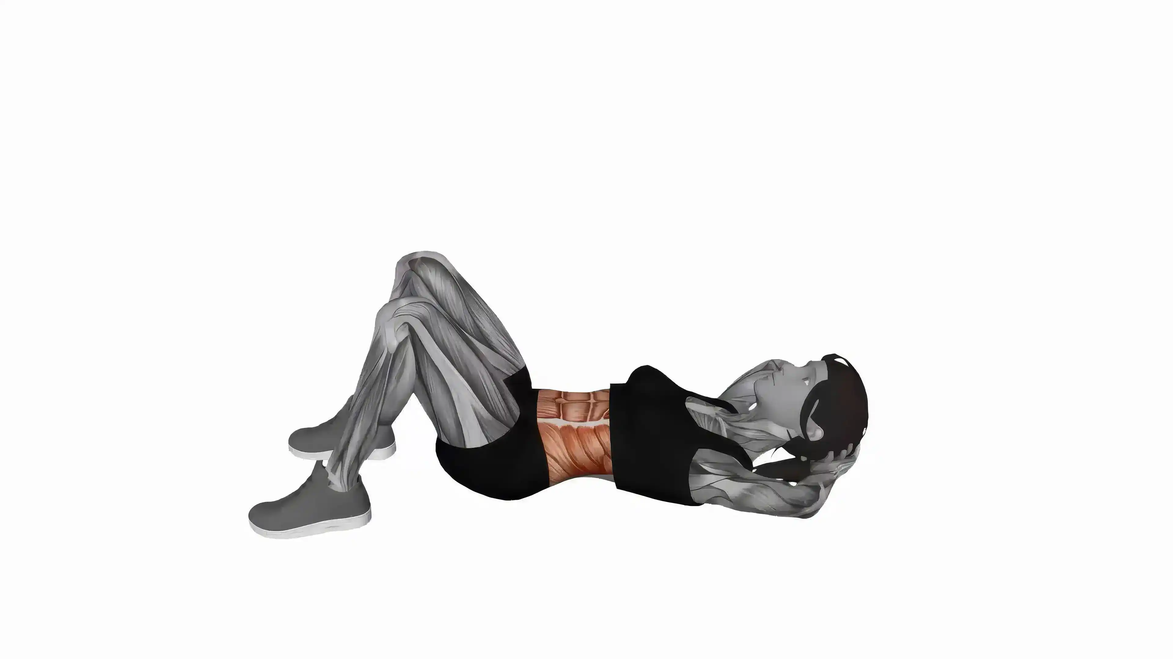Alternate Arm–Leg Plank Hold